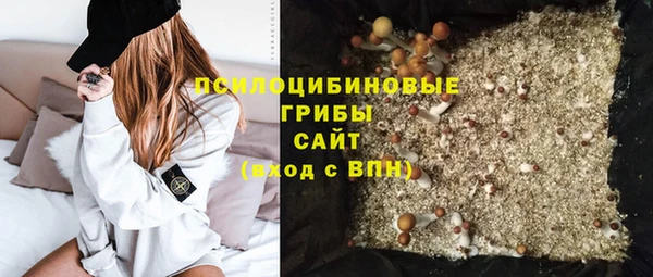 спайс Баксан