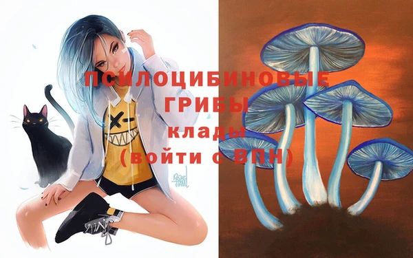 спайс Баксан