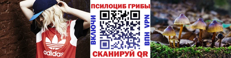 Галлюциногенные грибы MAGIC MUSHROOMS  где продают   Отрадная 